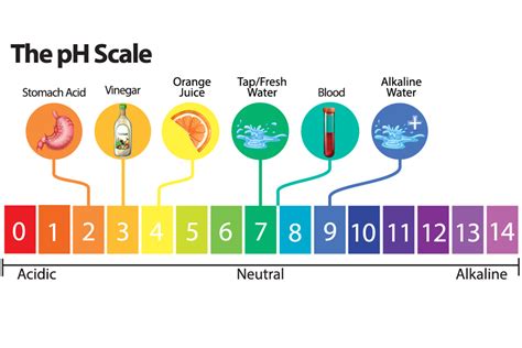 how much ph of vinegar.